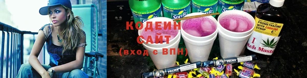 индика Беломорск