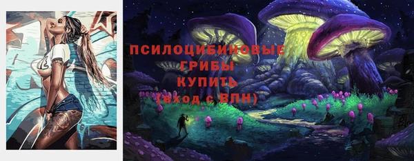 PSILOCYBIN Дмитриев