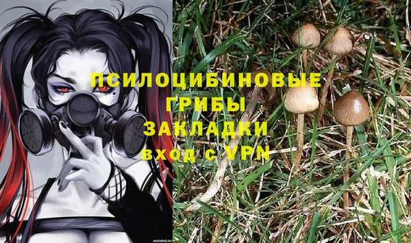 PSILOCYBIN Дмитриев