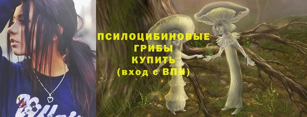 ALPHA-PVP Рославль