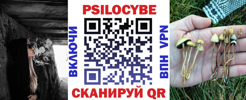 Псилоцибиновые грибы мицелий Кинель