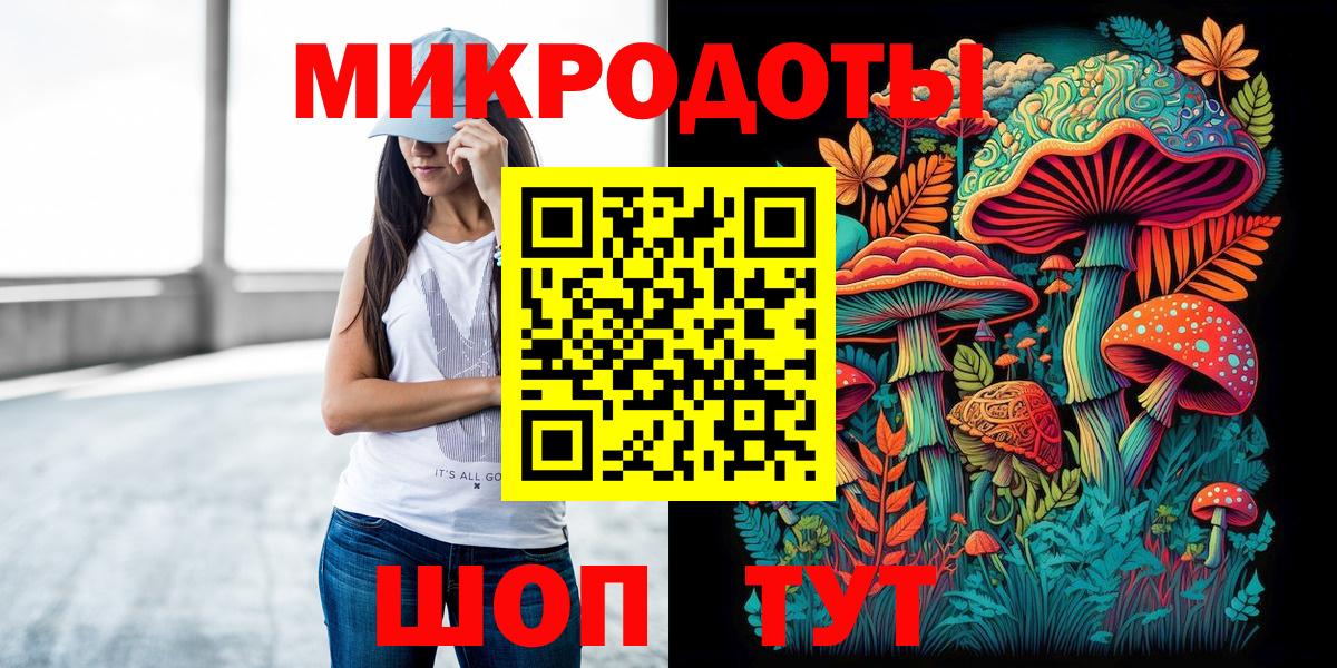 Псилоцибиновые грибы Psilocybe  купить наркоту  Кинель  Вход с VPN 